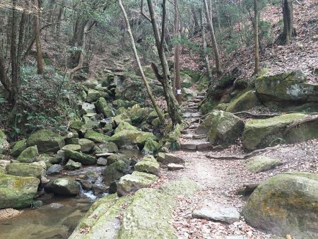 いきなり苔むした沢筋に入る