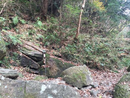 水場があったが、飲めるのか！？
