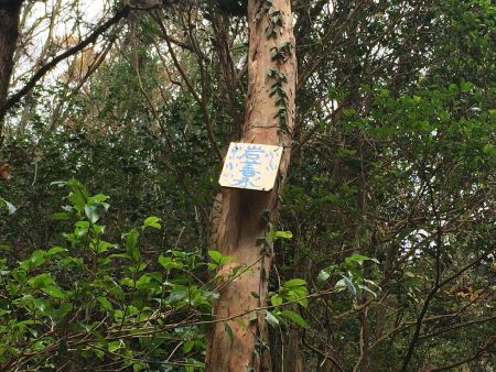 岩善水というらしい