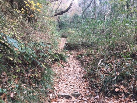 しばらくこういう道が続く