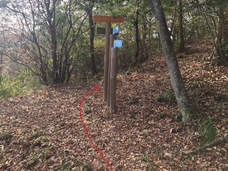 わかりにくいが、ここは右の尾根道へ