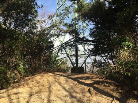 この鉄塔がP318のピーク