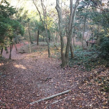 第二キャンプ場が見えた