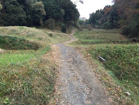 ずっと田んぼ道をあるく