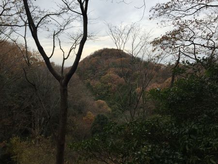 1ピーク登るとこれから登る交野山が見える