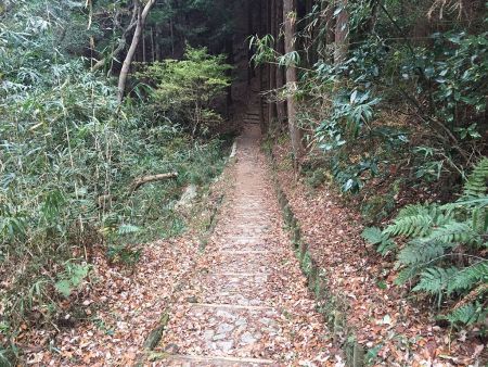 ピークから一旦谷に下って登ることになる