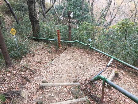 続いて国見山を目指す