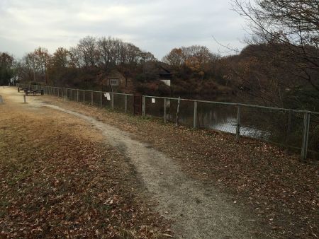 白旗池は公園のようになっている