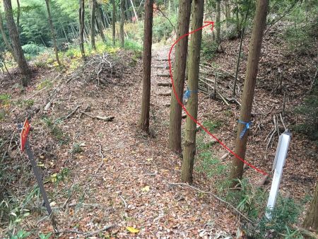 これはちょい上から撮影しているが、コル部にあがったら右へ。尾根を登る