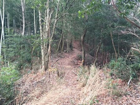 ここを登っていく