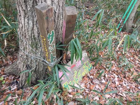 サンドイッチ山(313m)に到着。枚方市最高峰らしい