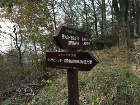 ここで左へいくとサクラデッキ、谷道