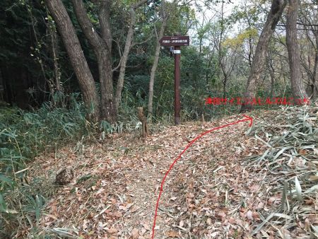 ここでJR津田駅への道標があるが津田サイエンスヒルズに戻らないとなので、真っ直ぐいく