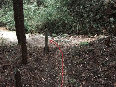 谷道に出た。ここを左