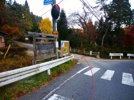 ここの左の橋を渡って進んでいく