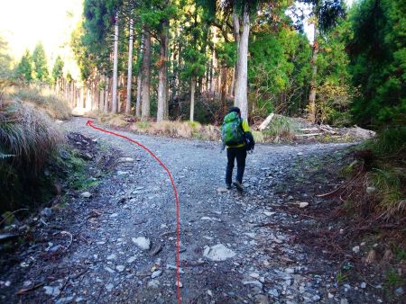 分岐があるが道なりに左側へ行く