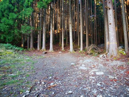 ここで林道が終わり登山道に入る