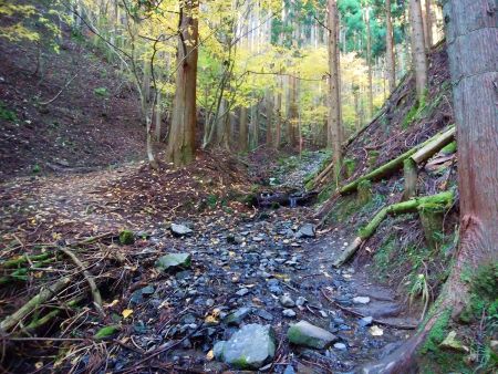 最初は沢筋の道を登っていく