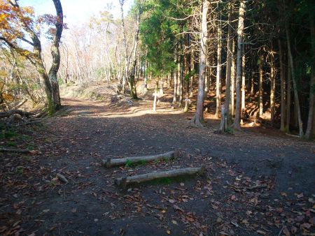 寺山峠に到着。分岐がたくさんあるけど、周回するので最初は右の道へ進んでいく