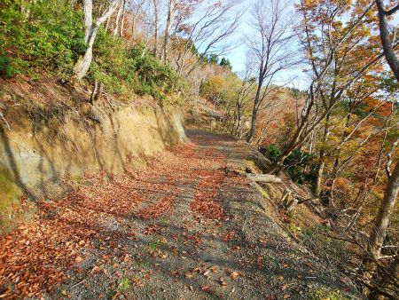 本当は尾根道なはずなんだけど、歩きやすいのでこの道を真っすぐ進んだ