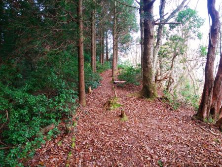 尾根に戻って雲取山を目指す