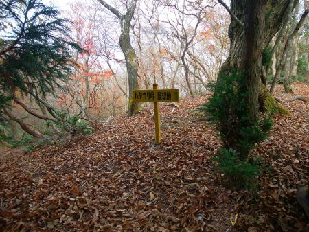 ハタカリ峠に到着。展望地と書いてるけど、どこにも展望地っぽいところはなかった