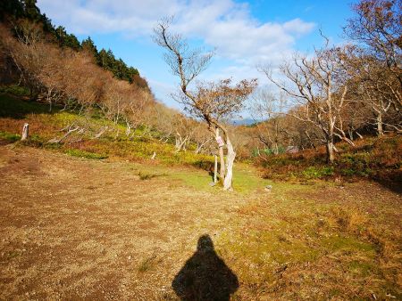 少し広くなった場所にでた。ここがどうやら雲取峠らしい