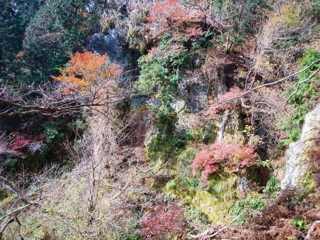 途中で大きな岩と紅葉が見えたけど、写真じゃ迫力は伝わらないかな