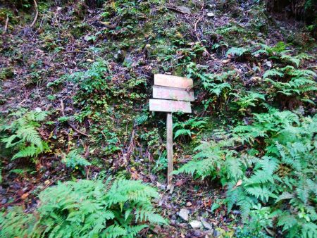 沢の分岐に到着したところが二の谷出合だった。ここを左に折れる。林道っぽいところがあったけどあくまで沢筋を歩く