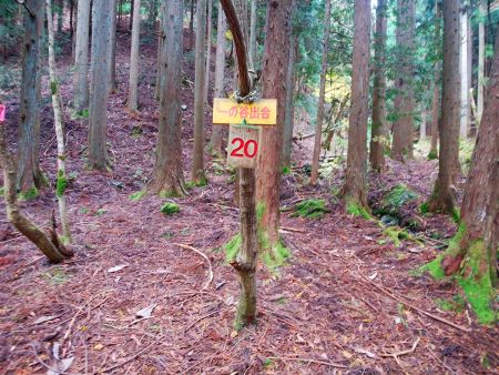 一の谷出合。ここを右の谷へ入って標高30mほどの登りになる