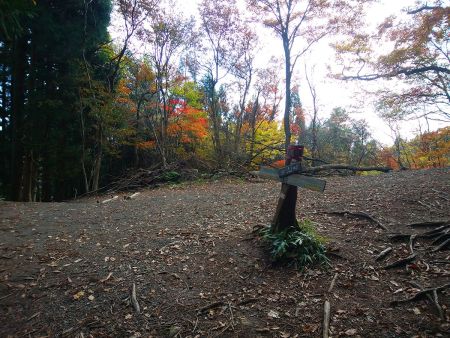 寺山峠に戻ってきた。ずっとノンストップで歩いてきたので、ここで大きく休憩しておいた