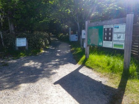 いつもの場所から入山するが、今回は日出ヶ岳に用はないのでピークハントはしない