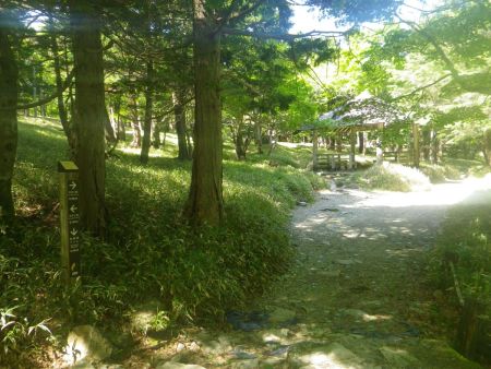 サクサクと歩いていると尾鷲辻に到着した。さて、ここからマブシ嶺に向かう