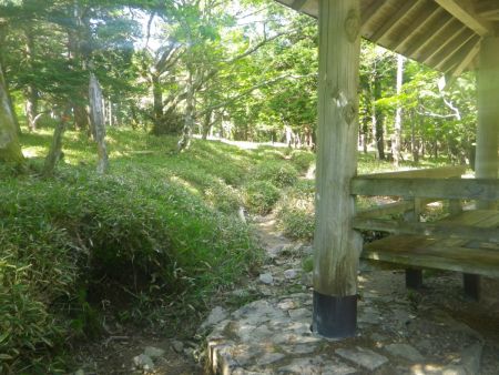 東屋の左側の道を歩いて行く。ここからは未知の領域だけど事前に行った人の記事を見てるとマブシ領まで意外と長かったという