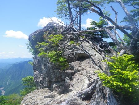 この岩場付近がP1402なんだけど、何もない。ただ展望がいいだけなんだけど、マブシ嶺に行けば全部見えたんだよね