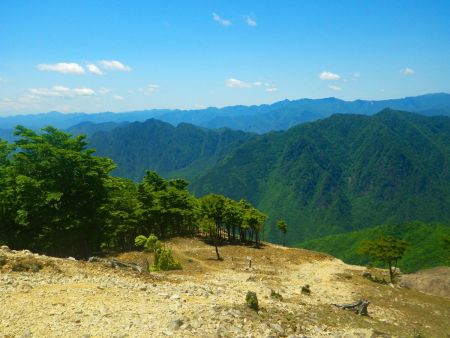 マブシ嶺からの南側の展望はこんな感じ。大峰山脈がどこまで南へ続いている