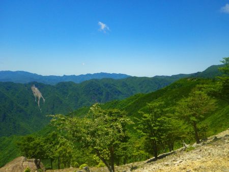 マブシ嶺から北側の展望。大普賢岳が見えているとは思うんだけど、この方角から見るとどれだかわからない。まあおそらく行者還岳からずっと右側の高い山がそうだと思う