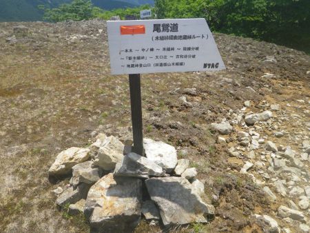 このまま下ると地蔵峠登山口まで下れるみたい。後で調べてみると距離的には尾鷲辻からの距離と同じくらいで登山口まで下れるようだ