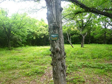 最初に登ったのは燈籠地山（54m）だったが、ただのピークハントだね