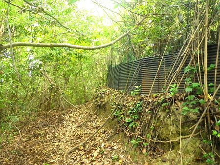 鉄柵のようなところに出ると踏み跡らしきものがあったが、これも正規ルートではない