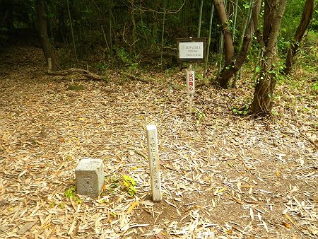 高坪山（105.9m）の山頂看板と三角点があったので撮影しておいた