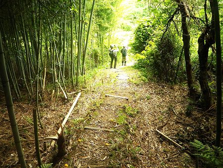 高坪山を下って次なる山へ登っていく
