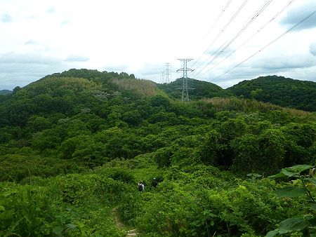 これから登る山々が見えた。おそらくだけど左から丸山、青の山、大日山と繋がっているんだと思う