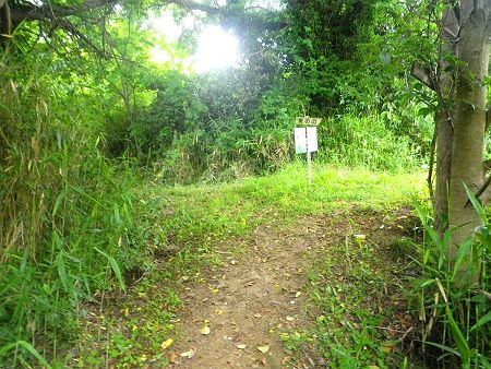 この分岐で道標はないが左に登って丸山をピークハントすることにした
