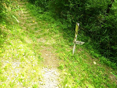 ここで分岐があったけど、青の山の山頂は右の階段を登っていく