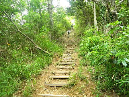 青の山山頂の直下は結構な階段を登らされることになる。階段は歩幅とペースが乱されるので好きじゃないんよね