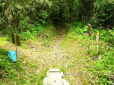 ここで再び分岐で左へ曲がる。直進は下りなんだけどエスケープルートが多い感じがする