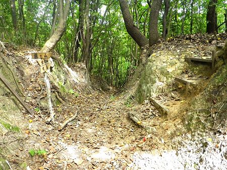 続いて坂の山へ登っていく。ここは四辻のようになっていけど、道標にしたがってここを右に登っていく