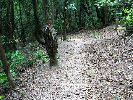 ここからは下界へ下っていくことになる。的形アルプスはさらに高砂市の山まで登る人がいるみたいだけど帰りが大変なのでここで海岸へ向かう