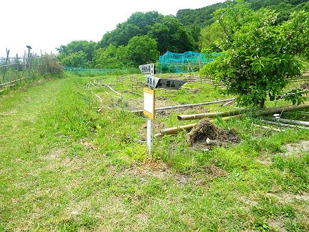 さっきの階段を登りきるとコースアウトで左側から登るのが正解だった。ここで向山～磯山への道標がでてきたので従って登っていく